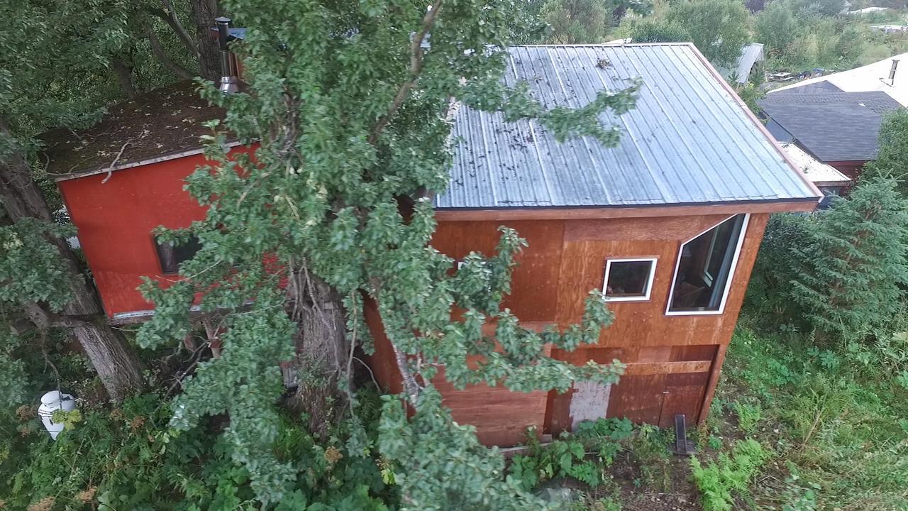 Villa Cottonwood Cabins à Fritz Creek Extérieur photo