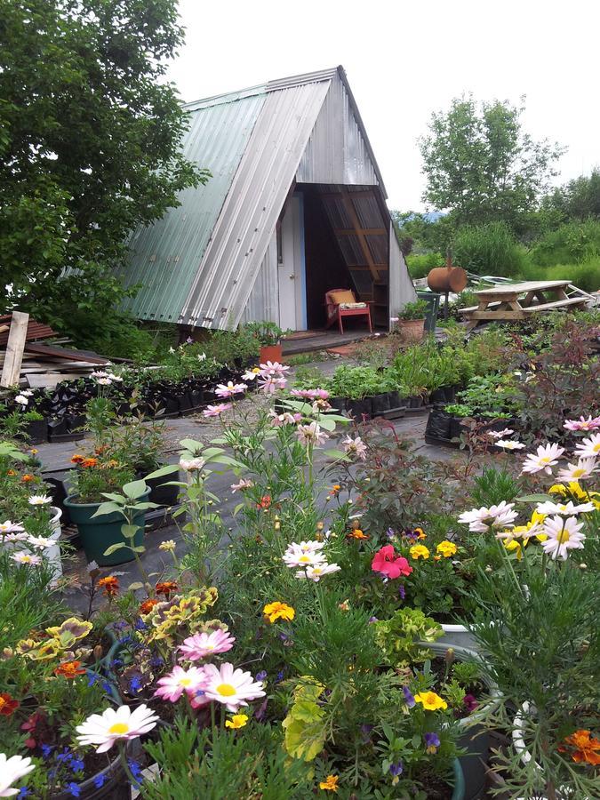 Villa Cottonwood Cabins à Fritz Creek Extérieur photo